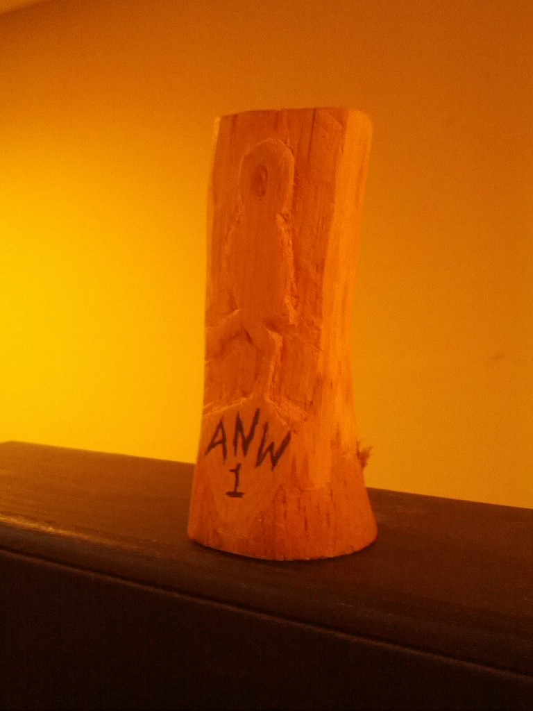 anw_trophy_first_one
